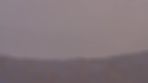 Viola online show from October 11, 12:19 pm