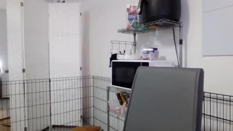 Jordyn online show from April 17, 3:58 pm