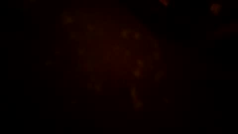 Karla Gonzaless online show from November 27, 7:00 am