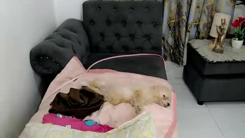 Snapshot of kate_romance chatting on September 21, 8:24 am Kate online show from September 21, 8:24 am