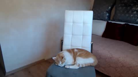 Snapshot of kathylovexxx chatting on October 1, 5:34 am Kathy online show from October 1, 5:34 am