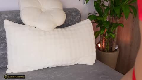 Snapshot of katiecruz_ chatting on October 29, 11:36 am Katie online show from October 29, 11:36 am