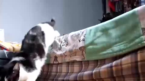 Snapshot of katladyzsafespace chatting on October 17, 3:15 pm katladyzsafespace online show from October 17, 3:15 pm