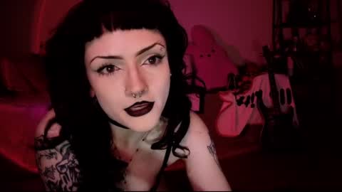 kattattacck online show from June 18, 2:35 am