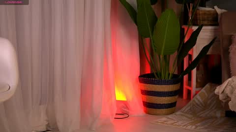 Denise online show from January 9, 11:47 am