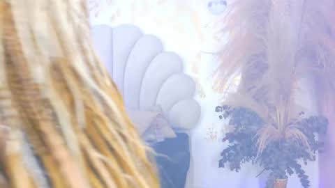 Snapshot of kiaratentation chatting on September 26, 8:17 pm kiaratentation online show from September 26, 8:17 pm