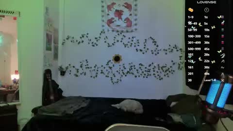 Bella online show from June 20, 12:03 am
