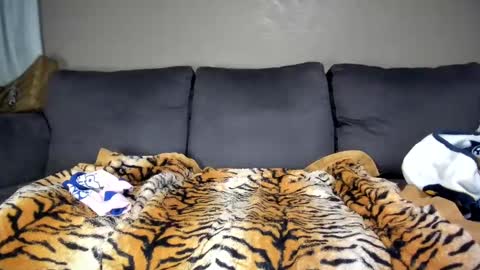 Kinky online show from February 11, 12:15 pm