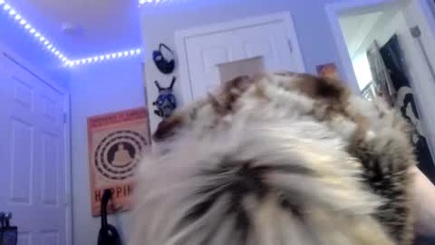 Kinky Pinky online show from January 30, 6:00 pm