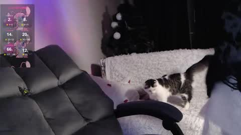 Kisi online show from January 22, 4:23 am