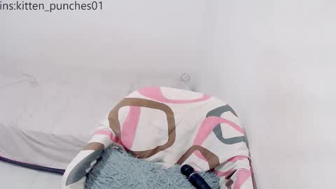 kitten_punches02 online show from December 15, 11:54 pm