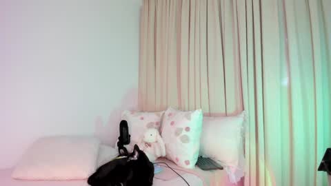 Snapshot of kitty__sophie chatting on September 24, 6:40 pm sophie online show from September 24, 6:40 pm