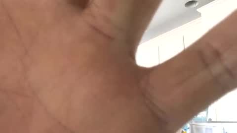 kittycatkendra online show from November 3, 3:05 pm