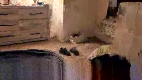 kittykat175154 online show from February 27, 10:04 am