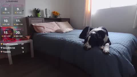 Snapshot of kittyymaze chatting on December 20, 2:05 pm Kittyymaze online show from December 20, 2:05 pm