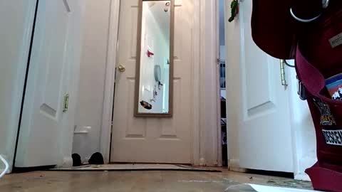lacybell online show from January 8, 2:14 am