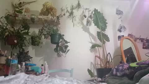 lacybell online show from December 24, 6:44 am