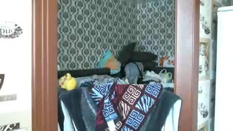 Snapshot of lady_cute_cat chatting on October 29, 3:11 am lady cute cat29 online show from October 29, 3:11 am