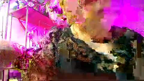 Lady Gloria online show from February 15, 6:44 am