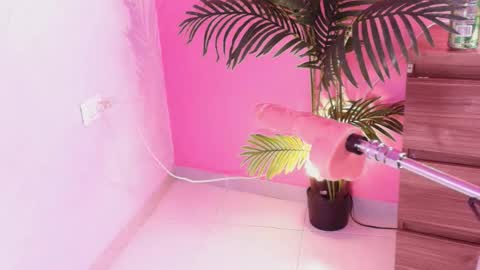 LANA online show from November 17, 4:46 am