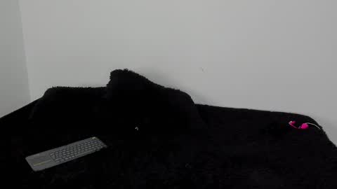 Snapshot of laurensmith9 chatting on October 14, 12:41 pm laurensmith9 online show from October 14, 12:41 pm