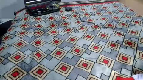 Snapshot of laylabrasil chatting on November 2, 12:58 am kelly online show from November 2, 12:58 am