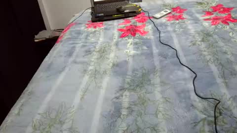 Snapshot of laylabrasil chatting on September 29, 1:32 am kelly online show from September 29, 1:32 am