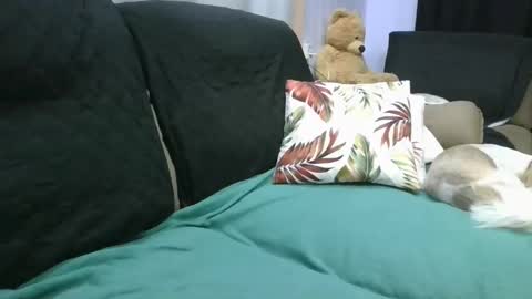 Snapshot of laylabrasil chatting on December 23, 1:29 am kelly online show from December 23, 1:29 am