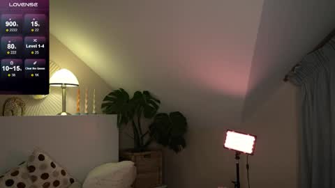 Pansy online show from November 23, 5:47 pm