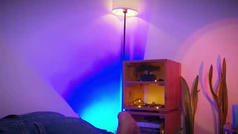 Leja online show from January 8, 8:13 pm