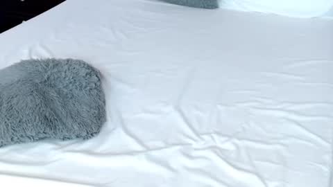 Snapshot of leonacutecam chatting on February 19, 11:04 pm LUCY online show from February 19, 11:04 pm