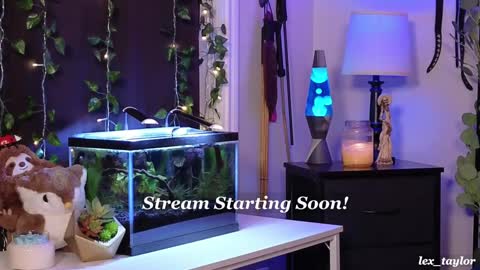 Lex online show from January 7, 3:46 am