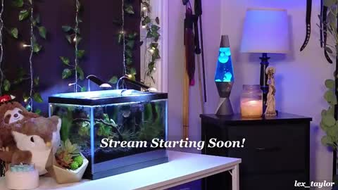 Lex online show from March 8, 3:59 am