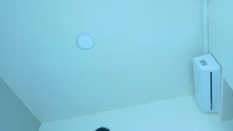 L E X A  online show from July 7, 9:46 am