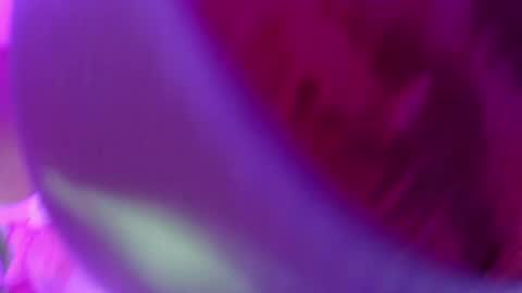 Snapshot of leysun7777 chatting on February 14, 2:18 am Leysun7 online show from February 14, 2:18 am