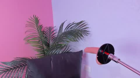 lia_owenss online show from May 31, 2:28 am