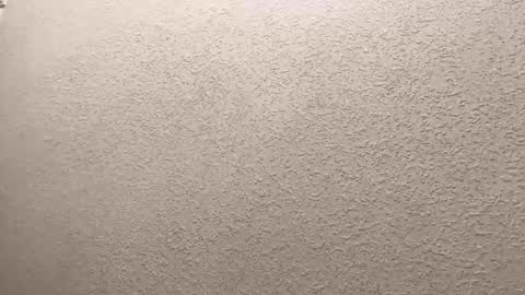 Lily online show from October 3, 7:41 pm