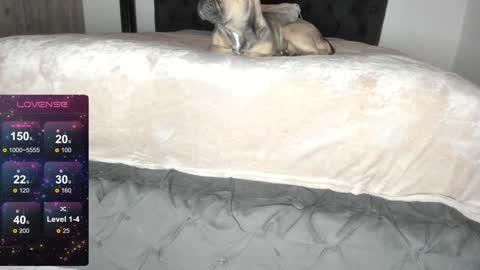 Lilith Parker online show from January 22, 1:21 am