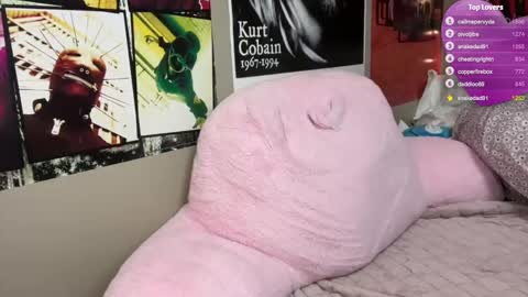 Lilly online show from January 26, 6:17 am