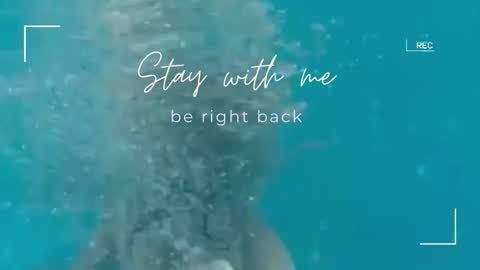 Lily online show from November 12, 6:55 am