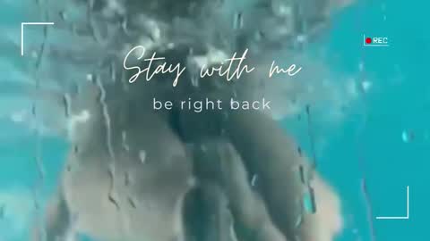 Snapshot of lily_foster_ chatting on October 12, 9:44 am Lily online show from October 12, 9:44 am