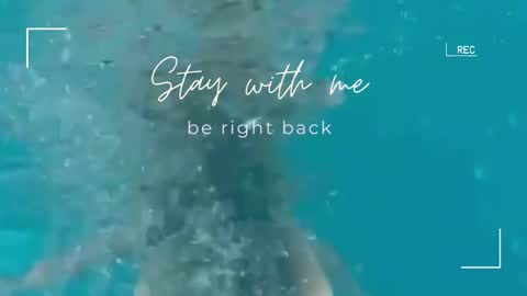 Snapshot of lily_foster_ chatting on October 15, 5:43 am Lily online show from October 15, 5:43 am