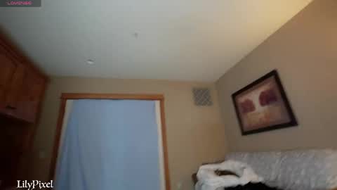 Liliana Marie Pixelate online show from April 27, 3:25 am