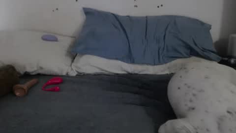 Snapshot of lindasex95 chatting on September 26, 10:07 pm lindasex95 online show from September 26, 10:07 pm