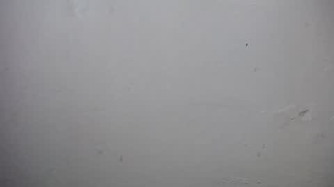 lisa_branch online show from January 16, 11:39 am