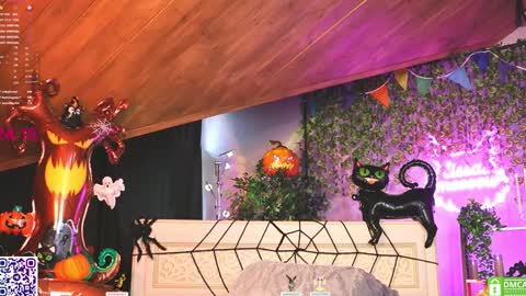 Snapshot of lissa_meooow chatting on October 24, 5:58 am your Liza again. Next stream Dec. 1 at 2 or 3 GMT online show from October 24, 5:58 am