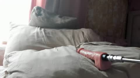 Snapshot of littlegoonergirl chatting on October 21, 3:38 pm Ali online show from October 21, 3:38 pm