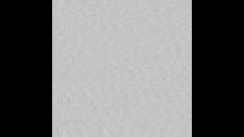 Liz  online show from January 15, 9:45 am