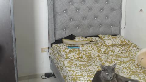 Liza Thurner online show from October 23, 2:06 am