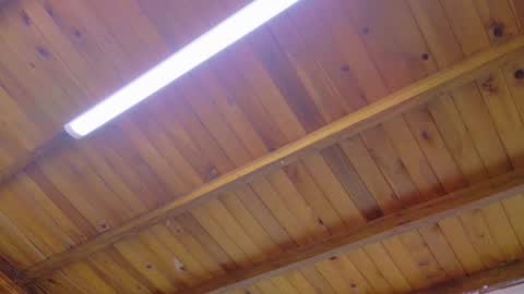  LIZBETH ROSS  online show from January 13, 10:41 am